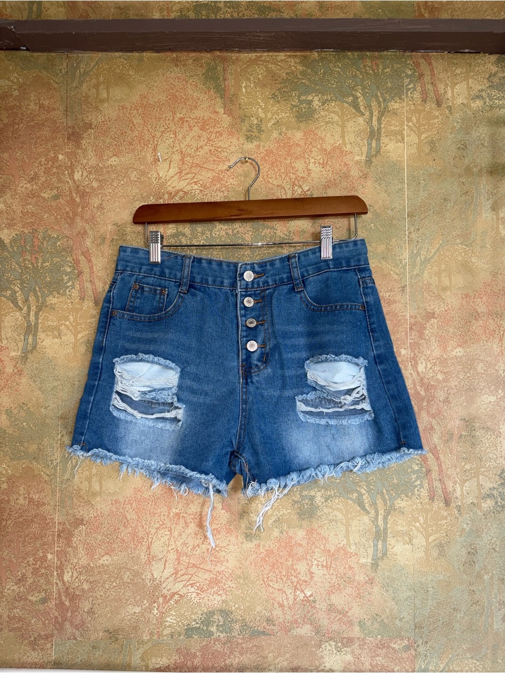Distressed Buttonfly Jean Shorts